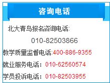 學計算機 編程與設計，究竟哪個更適合你？